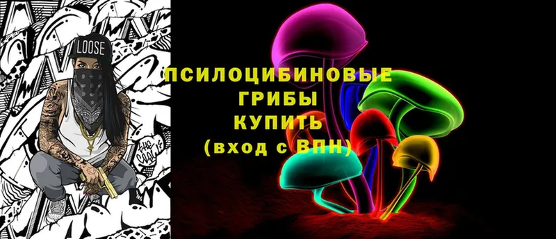 Галлюциногенные грибы MAGIC MUSHROOMS Карачаевск